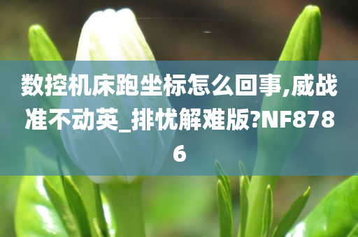 数控机床跑坐标怎么回事,威战准不动英_排忧解难版?NF8786