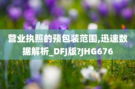 营业执照的预包装范围,迅速数据解析_DFJ版?JHG676