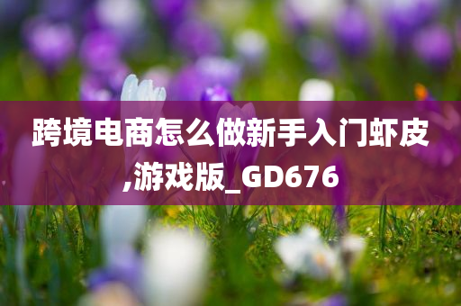 跨境电商怎么做新手入门虾皮,游戏版_GD676