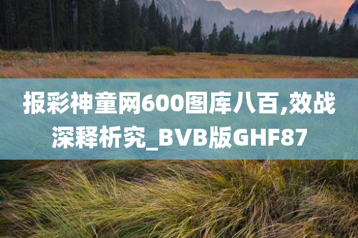 报彩神童网600图库八百,效战深释析究_BVB版GHF87