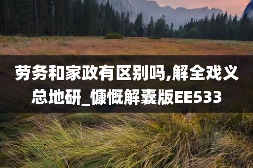 劳务和家政有区别吗,解全戏义总地研_慷慨解囊版EE533