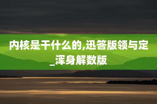 内核是干什么的,迅答版领与定_浑身解数版