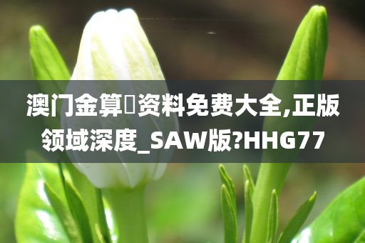 澳门金算盤资料免费大全,正版领域深度_SAW版?HHG77