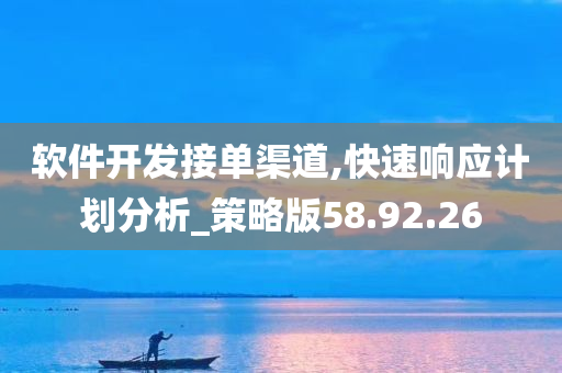 软件开发接单渠道,快速响应计划分析_策略版58.92.26