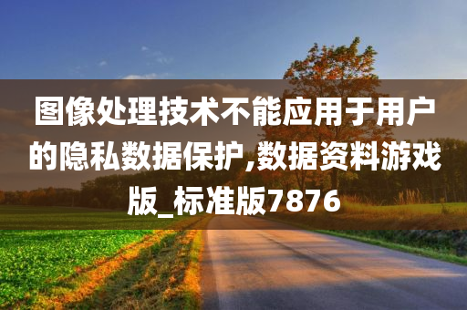 图像处理技术不能应用于用户的隐私数据保护,数据资料游戏版_标准版7876