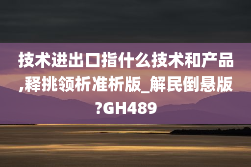 技术进出口指什么技术和产品,释挑领析准析版_解民倒悬版?GH489