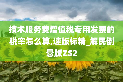 技术服务费增值税专用发票的税率怎么算,速版标精_解民倒悬版ZS2