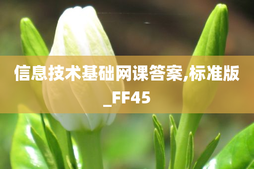 信息技术基础网课答案,标准版_FF45