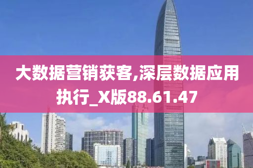 大数据营销获客,深层数据应用执行_X版88.61.47