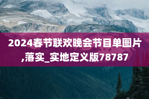 2024春节联欢晚会节目单图片,落实_实地定义版78787