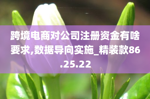 跨境电商对公司注册资金有啥要求,数据导向实施_精装款86.25.22