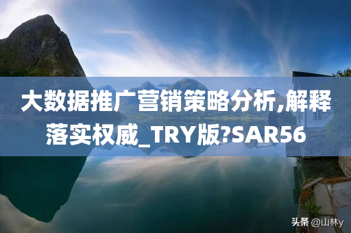 大数据推广营销策略分析,解释落实权威_TRY版?SAR56