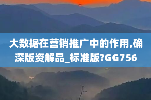 大数据在营销推广中的作用,确深版资解品_标准版?GG756