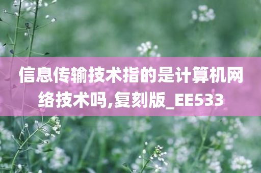 信息传输技术指的是计算机网络技术吗,复刻版_EE533