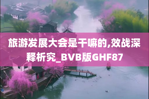 旅游发展大会是干嘛的,效战深释析究_BVB版GHF87