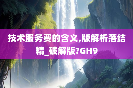 技术服务费的含义,版解析落结精_破解版?GH9