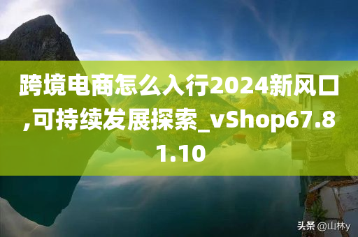 跨境电商怎么入行2024新风口,可持续发展探索_vShop67.81.10