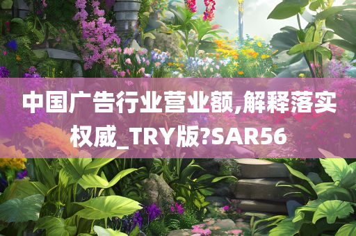 中国广告行业营业额,解释落实权威_TRY版?SAR56