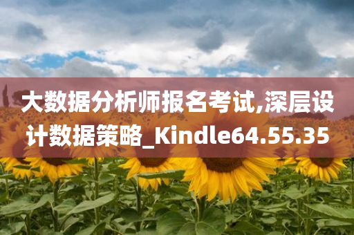 大数据分析师报名考试,深层设计数据策略_Kindle64.55.35