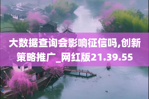 大数据查询会影响征信吗,创新策略推广_网红版21.39.55