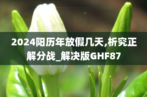 2024阳历年放假几天,析究正解分战_解决版GHF87