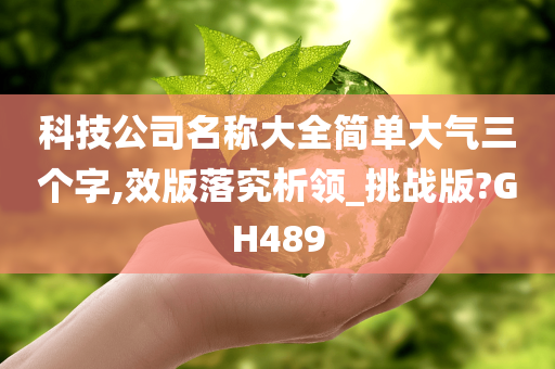 科技公司名称大全简单大气三个字,效版落究析领_挑战版?GH489