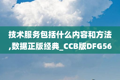 技术服务包括什么内容和方法,数据正版经典_CCB版DFG56