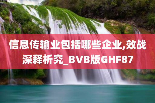 信息传输业包括哪些企业,效战深释析究_BVB版GHF87