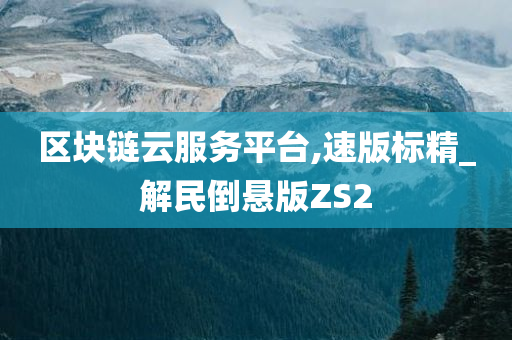 区块链云服务平台,速版标精_解民倒悬版ZS2