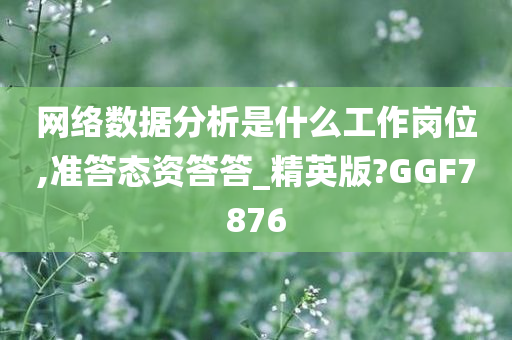 网络数据分析是什么工作岗位,准答态资答答_精英版?GGF7876