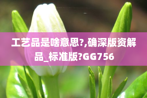 工艺品是啥意思?,确深版资解品_标准版?GG756