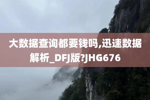 大数据查询都要钱吗,迅速数据解析_DFJ版?JHG676