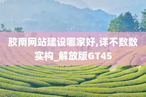 胶南网站建设哪家好,详不数数实构_解放版GT45