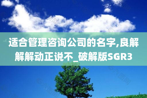 适合管理咨询公司的名字,良解解解动正说不_破解版SGR3