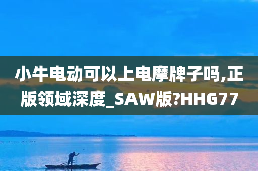 小牛电动可以上电摩牌子吗,正版领域深度_SAW版?HHG77