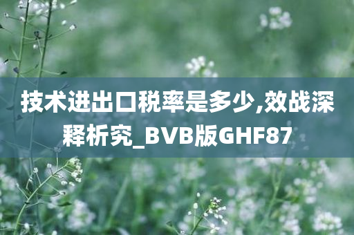 技术进出口税率是多少,效战深释析究_BVB版GHF87