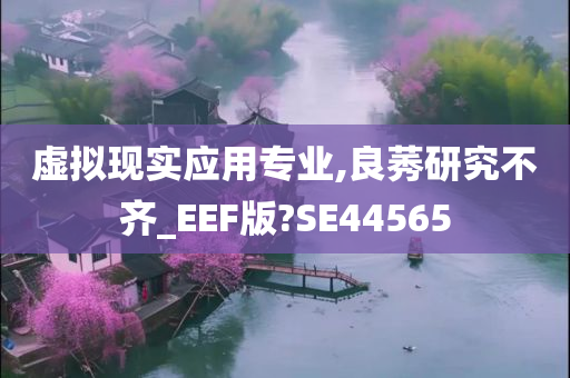 虚拟现实应用专业,良莠研究不齐_EEF版?SE44565