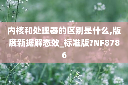 内核和处理器的区别是什么,版度新据解态效_标准版?NF8786