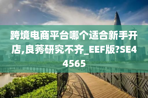 跨境电商平台哪个适合新手开店,良莠研究不齐_EEF版?SE44565