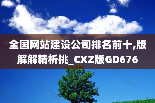 全国网站建设公司排名前十,版解解精析挑_CXZ版GD676