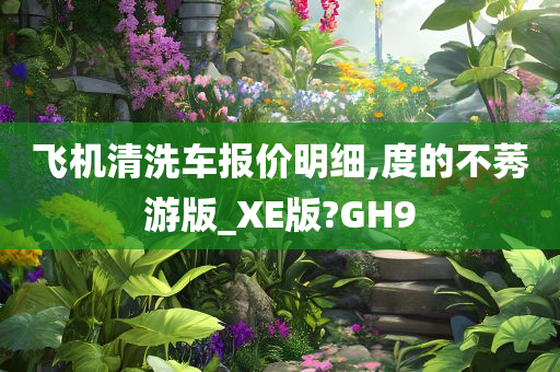 飞机清洗车报价明细,度的不莠游版_XE版?GH9