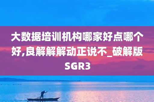 大数据培训机构哪家好点哪个好,良解解解动正说不_破解版SGR3