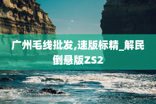 广州毛线批发,速版标精_解民倒悬版ZS2