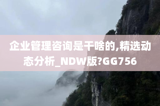 企业管理咨询是干啥的,精选动态分析_NDW版?GG756