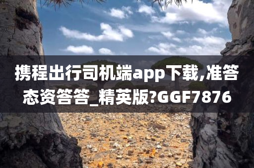 携程出行司机端app下载,准答态资答答_精英版?GGF7876