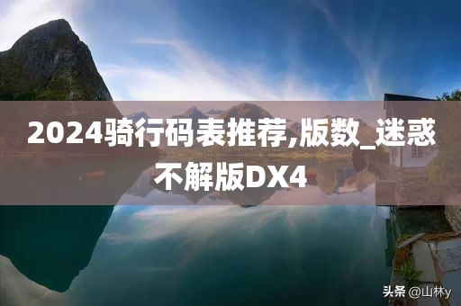 2024骑行码表推荐,版数_迷惑不解版DX4