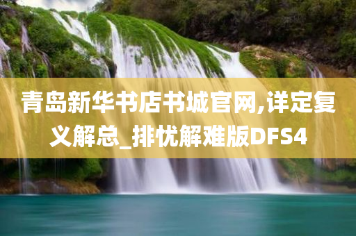 青岛新华书店书城官网,详定复义解总_排忧解难版DFS4