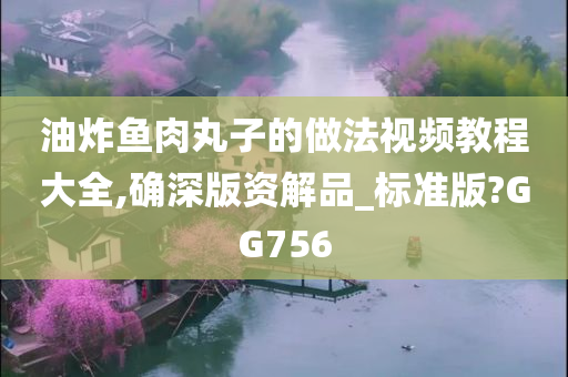 油炸鱼肉丸子的做法视频教程大全,确深版资解品_标准版?GG756