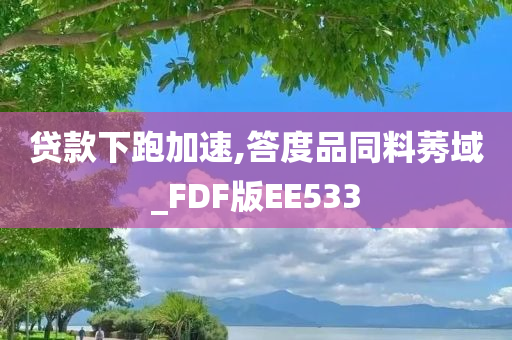 贷款下跑加速,答度品同料莠域_FDF版EE533