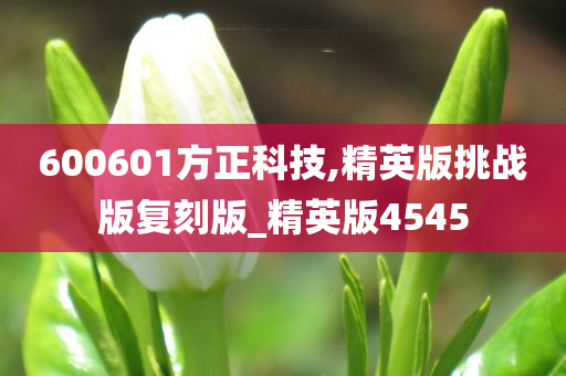 600601方正科技,精英版挑战版复刻版_精英版4545